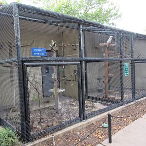 Assorted Aviaries
