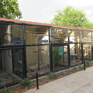 Assorted Aviaries