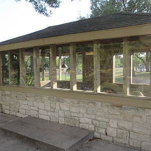 Tortoise Exhibit (unidentified species)