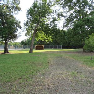 Miniature Horse Exhibit