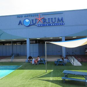 Aquarium - Just Opened in December 2014