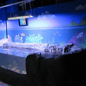 Touch Tank - one of many!