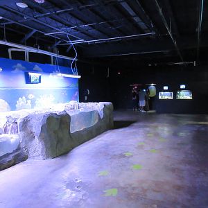 Touch Tanks (showing the warehouse-style environment)