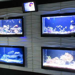 Standard Tanks (with touch screens everywhere)