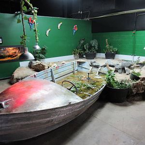 Boat Tank/Caiman Exhibit/Tortoise Exhibit/Junk