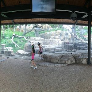 Japanese macaque viewing area