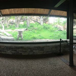 Japanese macaque viewing area