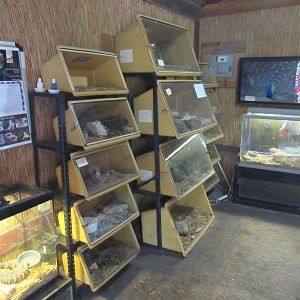 Assorted Terrariums - in entrance building