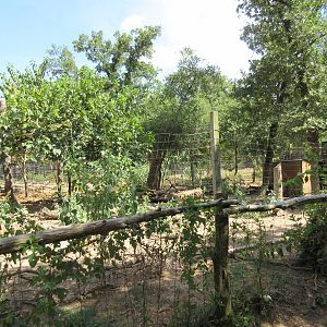 Emu/Bennett's Wallaby Exhibit