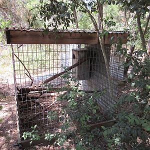 Empty Exhibit? - no sign