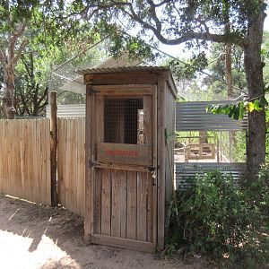 Walk-Through Budgie/Parakeet Aviary
