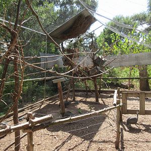 Walk-Through Budgie/Parakeet Aviary