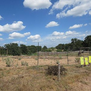 Grant's Zebra/Blue Wildebeest Exhibit