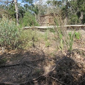 Black-Tailed Prairie Dog Exhibit