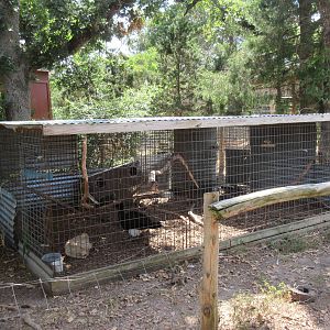 Curassow Exhibit + Two Additional Exhibits (empty?)