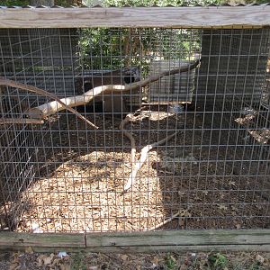 Empty Exhibit?  - no sign