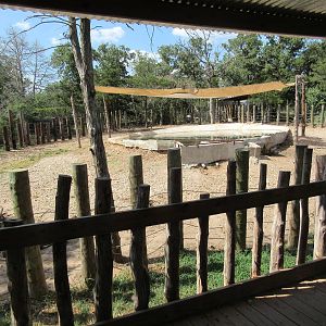 Nile Hippo Exhibit - from viewing deck