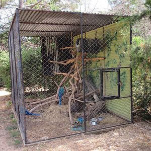 Blue and Yellow Macaw Exhibit