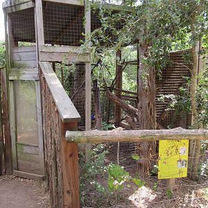 Vervet Monkey Exhibit