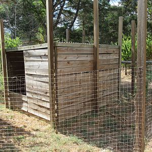 Fanaloka Exhibit (side view)