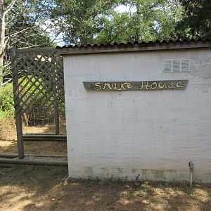 Snake House (a single albino Burmese Python)