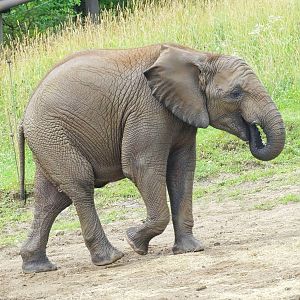 Jun. 2015 - Plains - Nyah