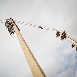 Jun. 2015 - International Orangutan Center - Rocky