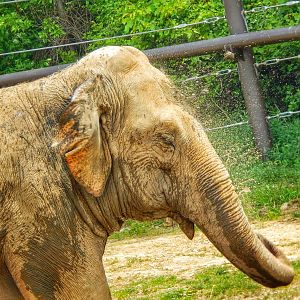 Jun. 2015 - Asian Passage - Connie