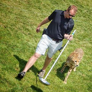 Jun. 2015 - Heart of Africa - Cheetah Run