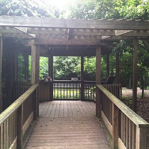 South American (Gazebo?)