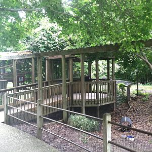 South American (Gazebo?)