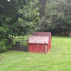 Capybara Holding Area