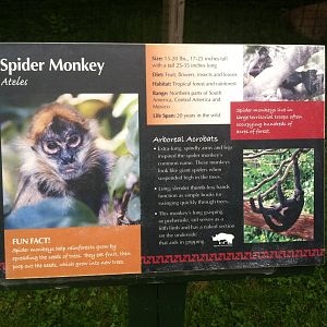 Spider Monkey Signage
