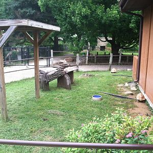 Small Tortoise Exhibit