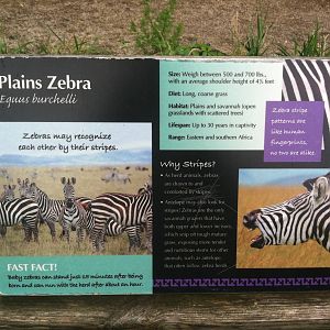 Zebra Signage