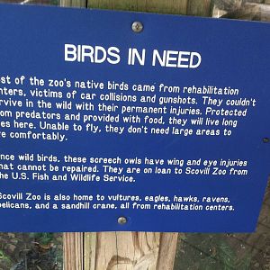 Bird Rehabilitation Signage