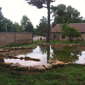 Australian Walk-Through