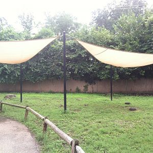 Australian Walk-Through