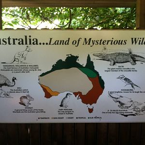 Australian Signage