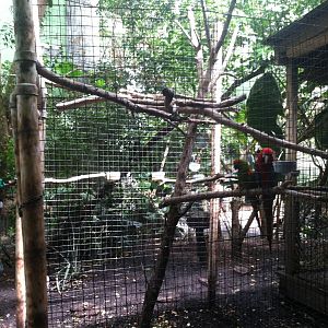 Macaw Cage