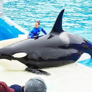 Jun. 2015 - One Ocean - Corky