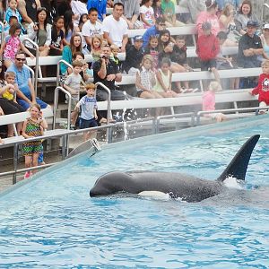 Jun. 2015 - One Ocean - Corky