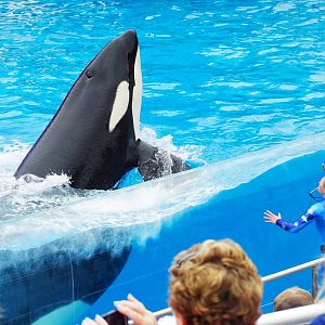 Jun. 2015 - One Ocean - Nakai