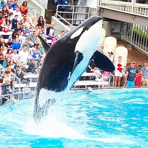 Jun. 2015 - One Ocean - Corky