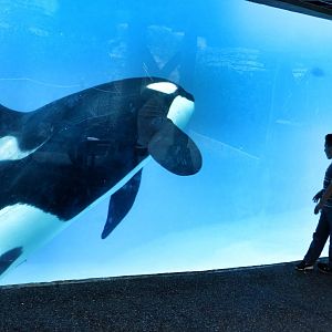 Jun. 2015 - Shouka (Most proud photo)