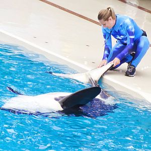 Jun. 2015 - One Ocean - Makani Rubdown