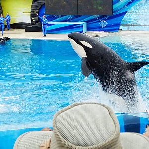 Jun. 2015 - One Ocean - Kasatka