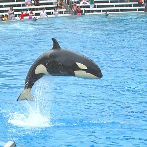 Jun. 2015 - One Ocean - Makani