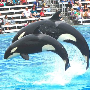 Jun. 2015 - One Ocean - Makani and Kalia