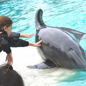 Jun. 2015 - Dolphin Point